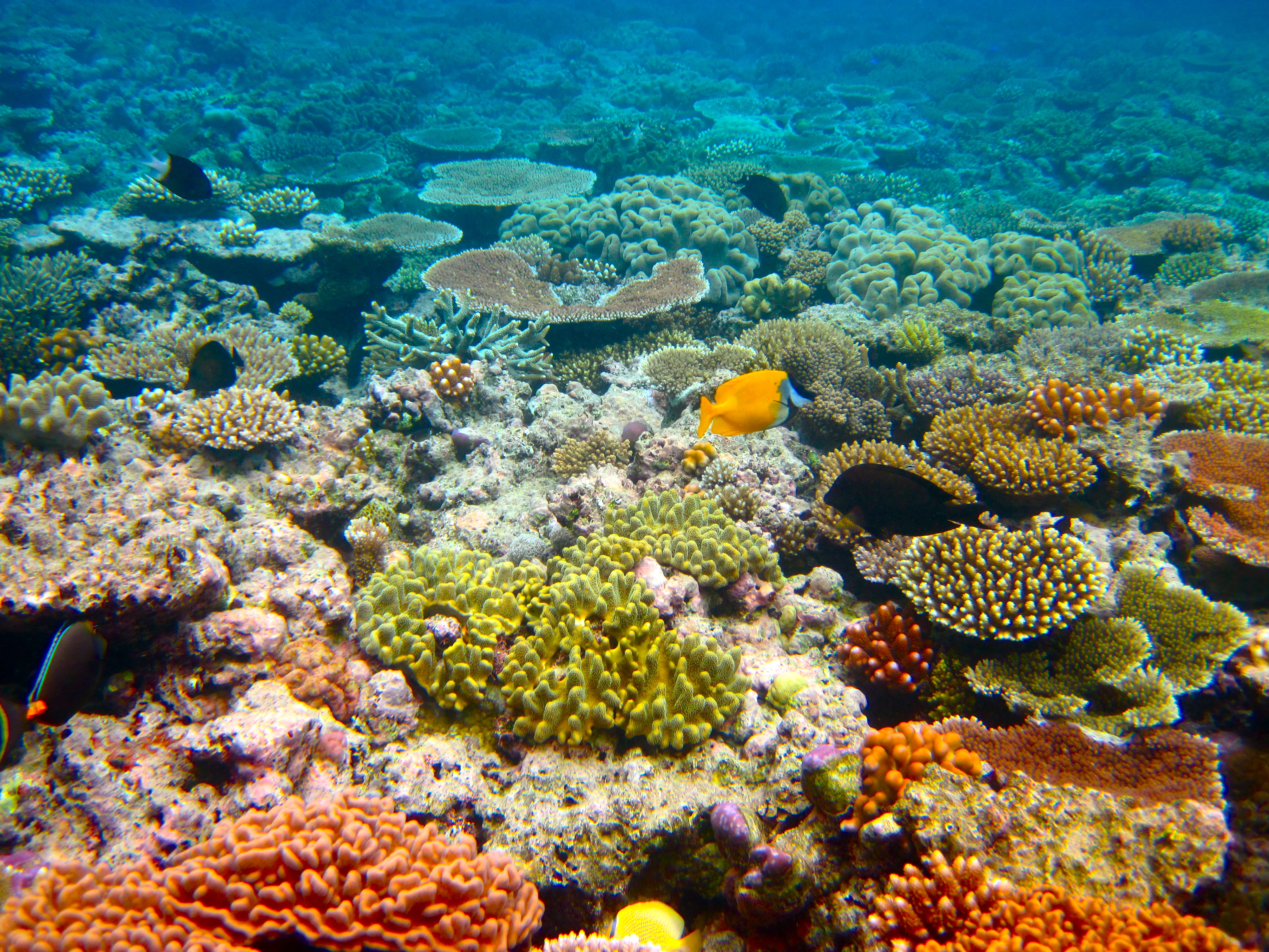 Paradis de la plongée sous-marine en Europe