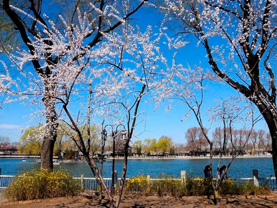 …parfois, on a juste besoin d