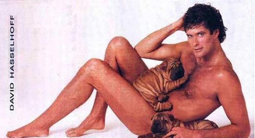 David Hasselhoff  David Hasselhoff