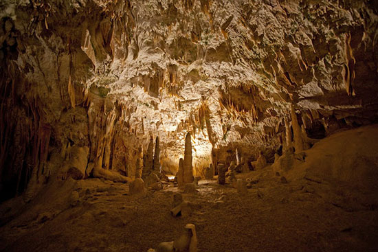 Grottes naturelles à Ljubljana Grottes naturelles à Ljubljana
