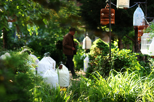 …parfois, on a juste besoin d