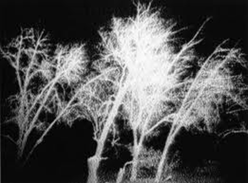 paradis-perdu-distanbul