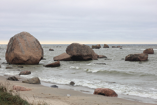 Parc National Lahemaa à Tallin Parc National Lahemaa à Tallin