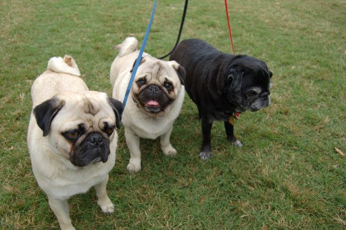 …parfois, on a juste besoin d