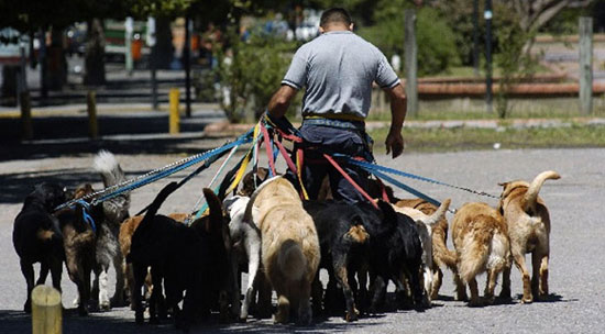 Pet sitters à Barcelone 