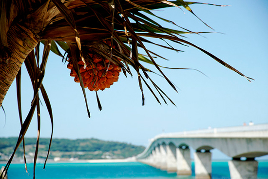 Plages paradisiaques à Okinawa (Japon)