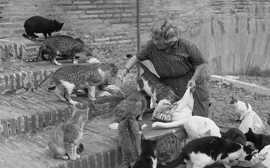 …parfois, on a juste besoin d