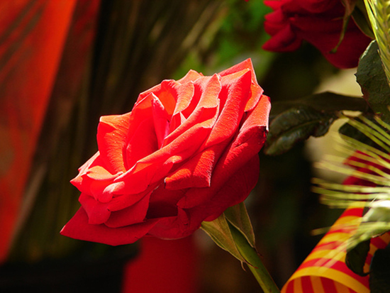 …parfois, on a juste besoin d