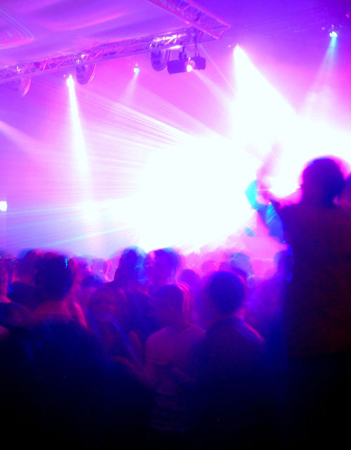 The Daisy Age à Amsterdam