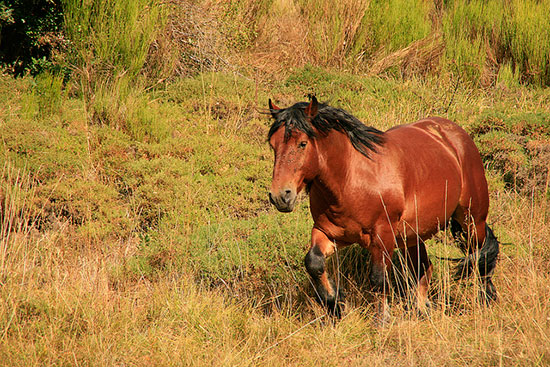 Vacances d'été à la montagne Vacances d'été à la montagne