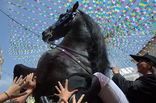 Tout sur les Jaleos de Minorque