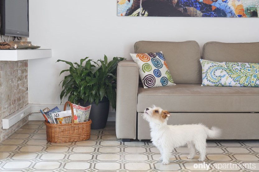 Journée Mondiale des Animaux: Appartements pour voyager avec des animaux domestiques