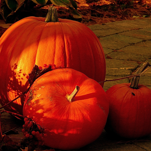 10 destinations pour un Halloween mortel ! 10 destinations pour un Halloween mortel !