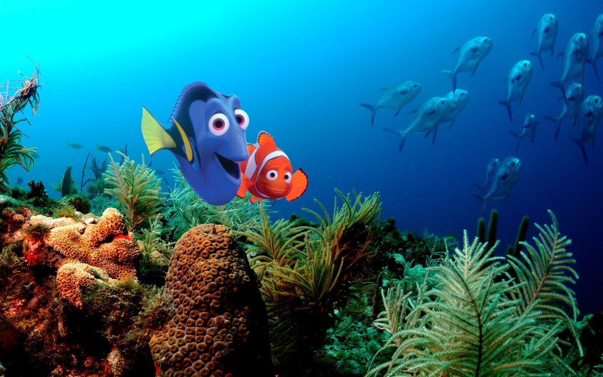 Cinq destinations Disney